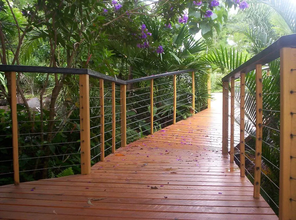 Alaya Escape Bed & Breakfast Eudlo